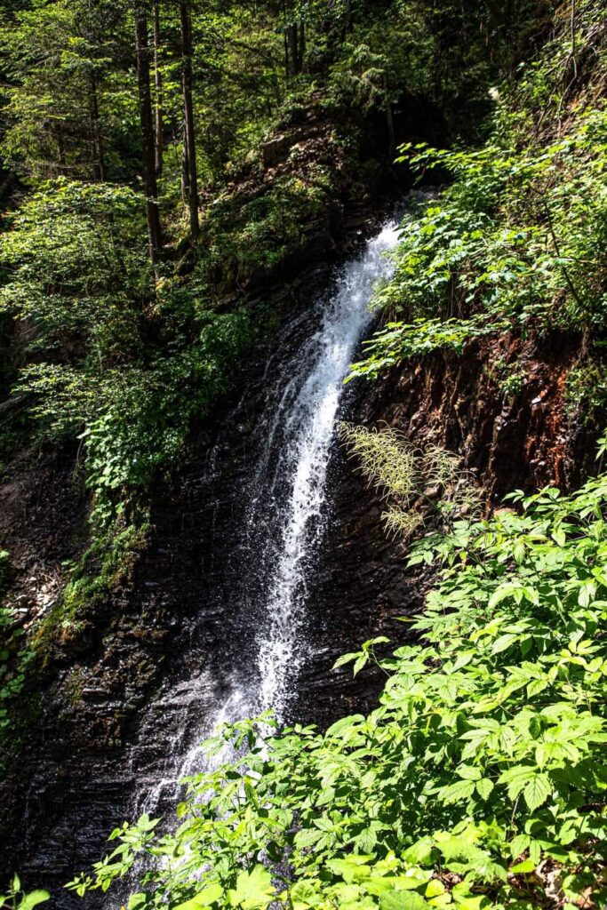 Урочище Женець – водоспад Гук