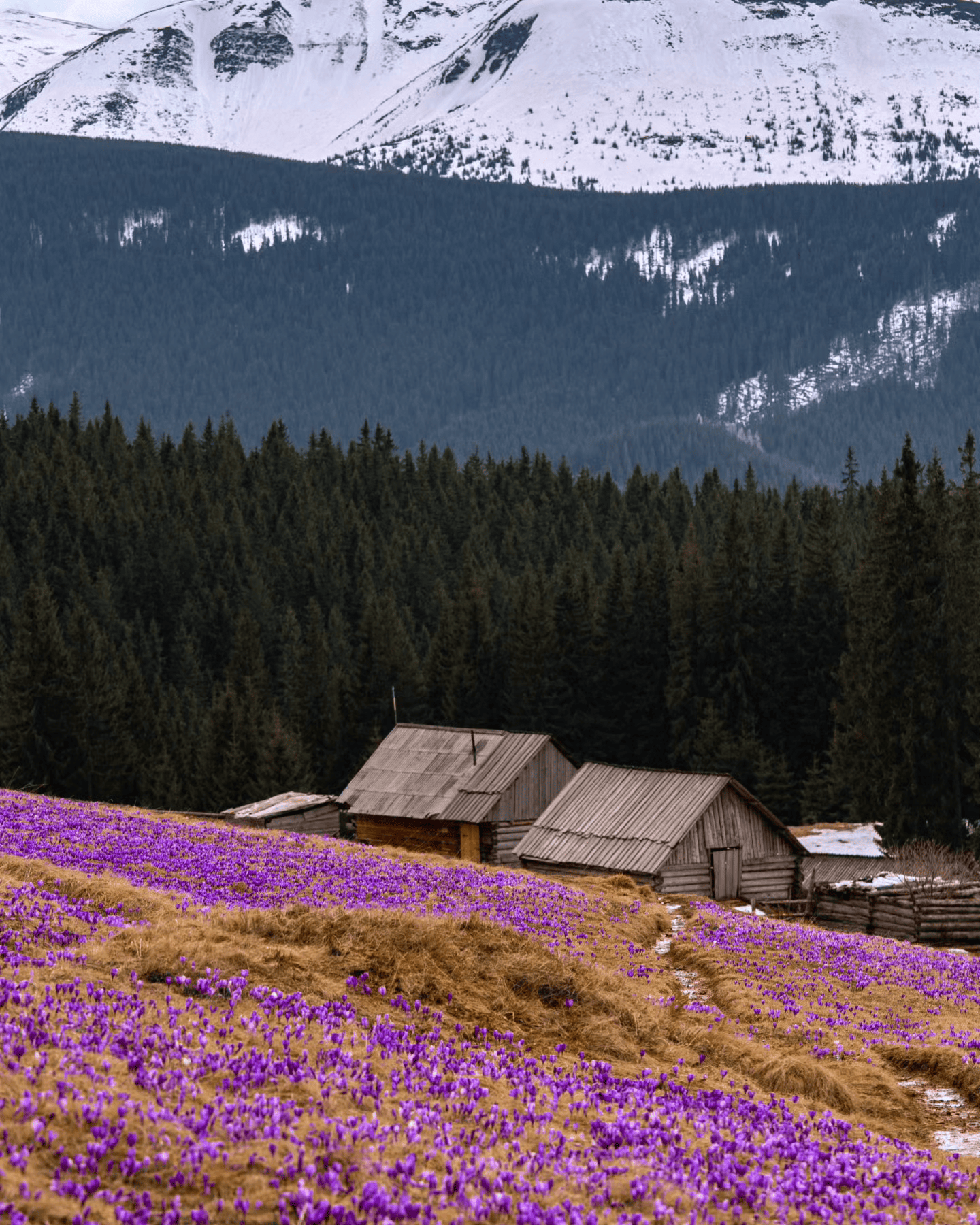 Відкрий ТОП-10 місць Ворохти й Татарова — від старовинних віадуків до найкращих оглядових вершин 