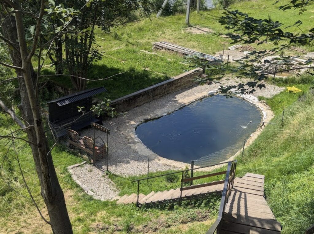 Риболовля та приготування ставкової форелі