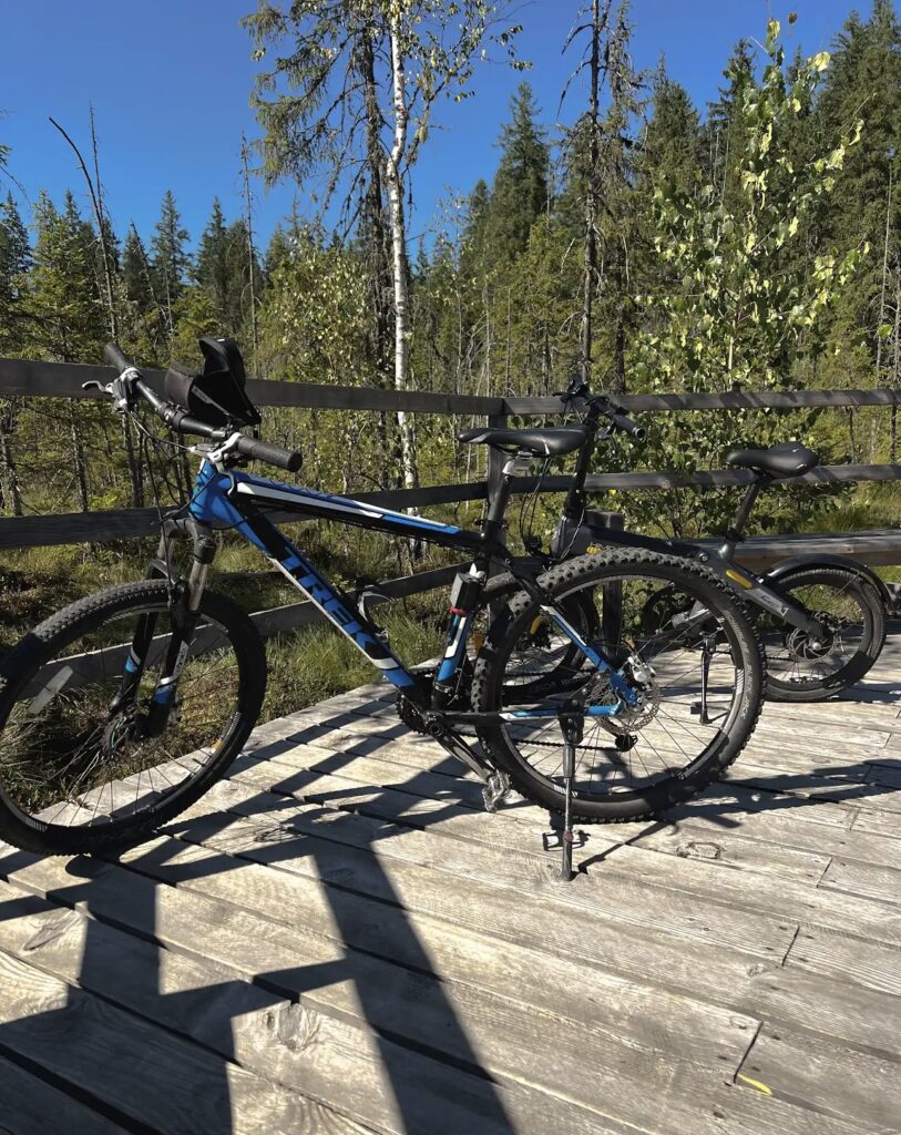 Прокат велосипедів «Зелений ровер»