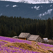 Відкрий ТОП-10 місць Ворохти й Татарова — від старовинних віадуків до найкращих оглядових вершин 
